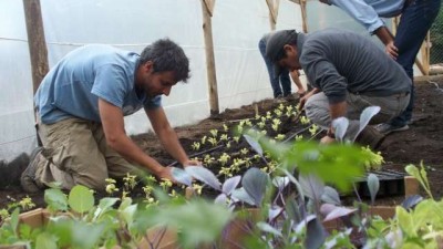 Bariloche avanza en la promoción de la agricultura urbana