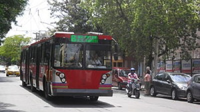 Córdoba planea incorporar troles rusos a la flota del transporte