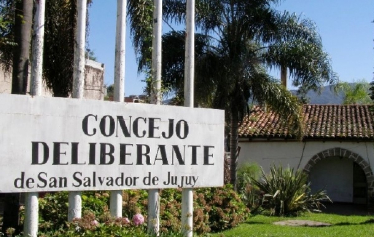Empleados del Concejo Deliberante de San Salvador de Jujuy en acción solidaria