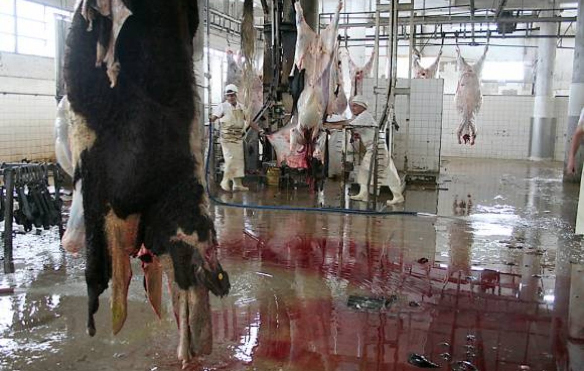 Mataderos municipales, para incidir en el precio de la carne