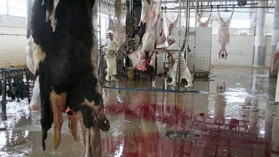 Mataderos municipales, para incidir en el precio de la carne