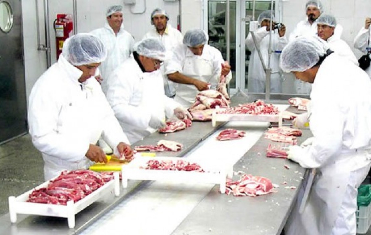 El Gobierno Provincial brinda apoyo económico para la producción de liebre en Esquel