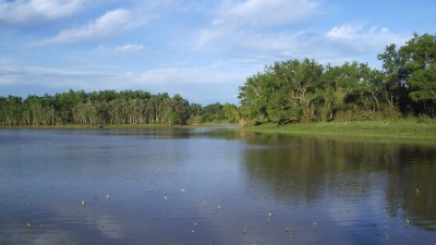 El 22 de marzo se conmemora el Día Mundial del Agua