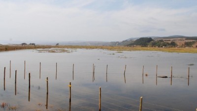 Familias aisladas desde hace más de un mes en campos de Ucacha