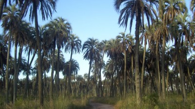 Fortalecen la participación de los pobladores del sitio Ramsar Palmar Yatay