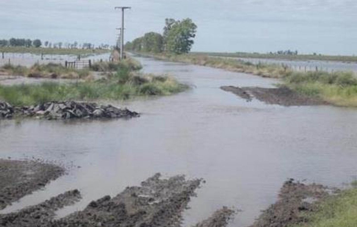 Córdoba: La inundación aún afecta a campos de San Justo