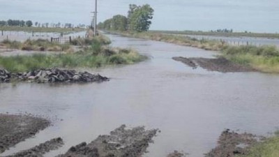 Córdoba: La inundación aún afecta a campos de San Justo