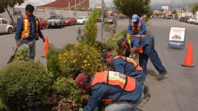 Santa Rosa: Pagarle a 240 contratados cuesta un millón de pesos