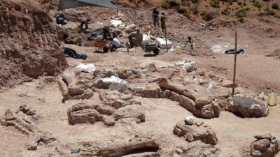 Encontraron más dinosaurios en Chubut y analizan si la zona es un cementerio paleontológico
