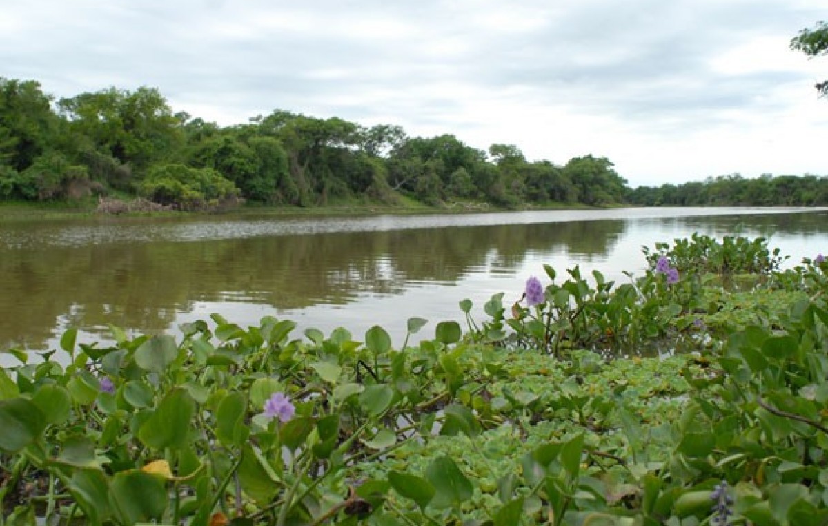 El Senado define el Parque Nacional El Impenetrable, incluida La Fidelidad