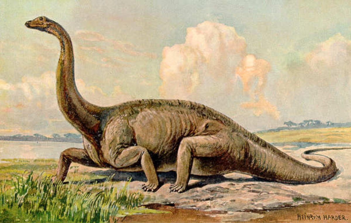 Encontraron en Neuquén restos de un dinosaurio único en América del Sur