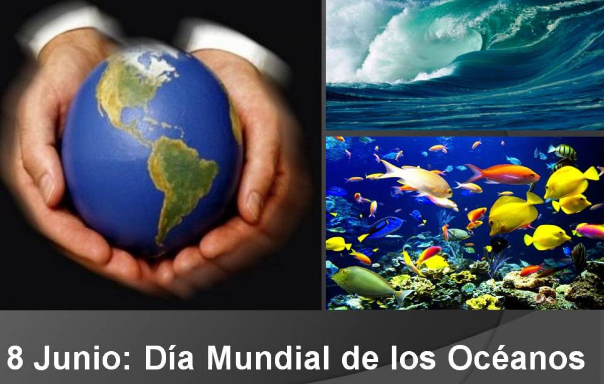 8 de junio Día Mundial de los Océanos, actividades en Madryn