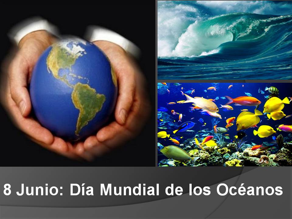 Dia Mundial de los Oceanos