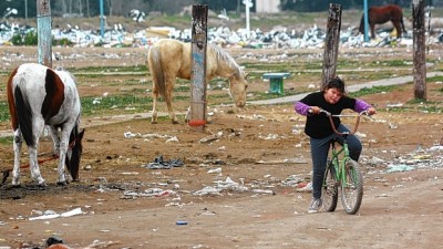 Bahía Blanca: Analizan alternativas para los caballos que dejarán la calle