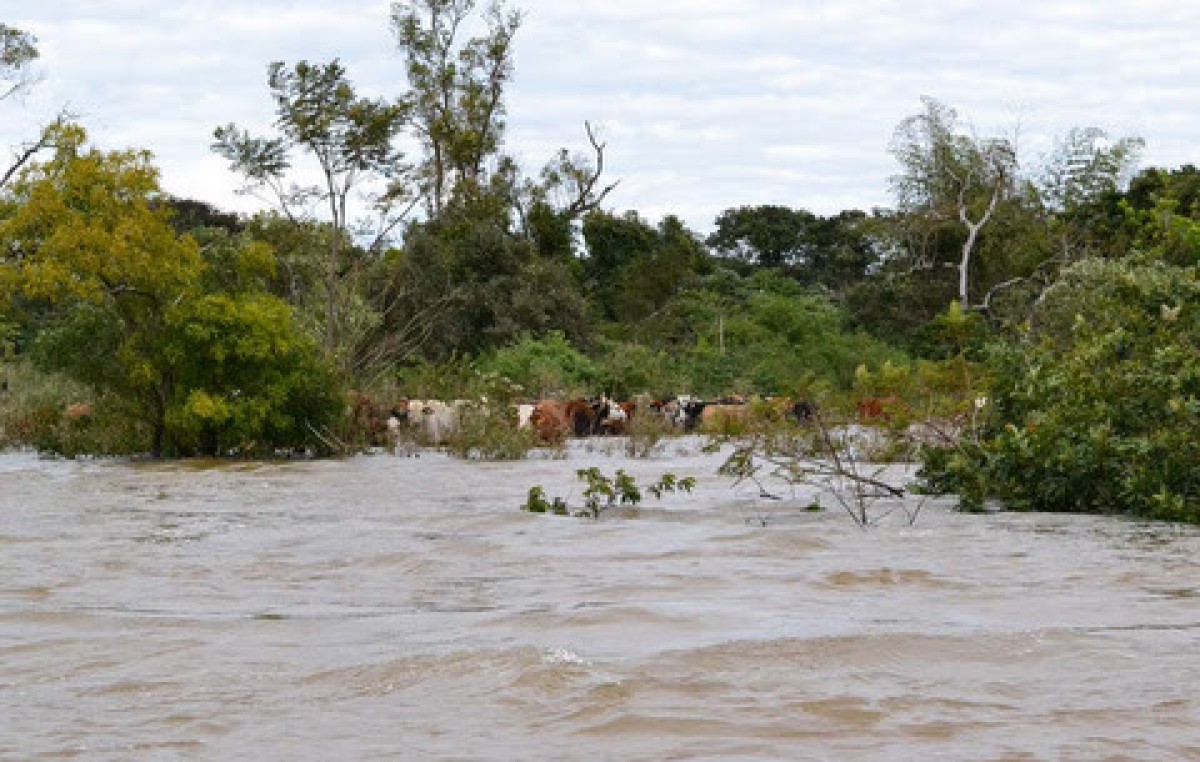 Baja el nivel de los ríos Uruguay y Paraná en Entre Ríos