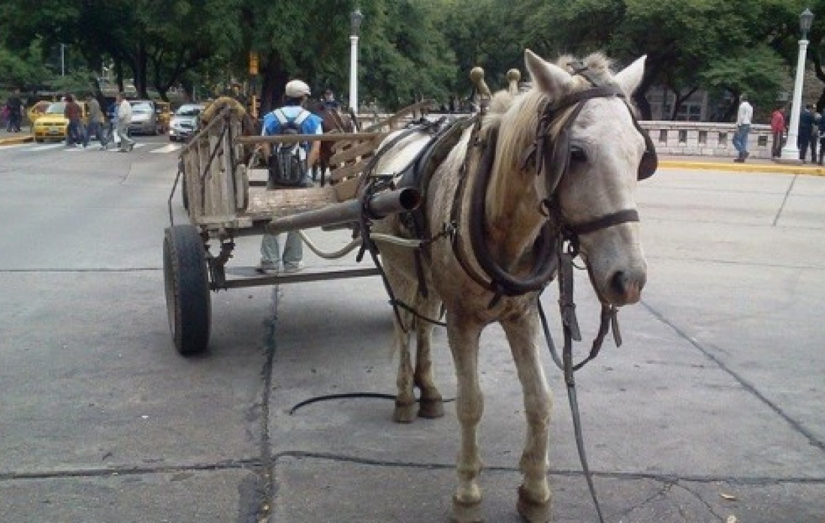 Reunión entre municipio capitalino y Río Cuarto por eliminación de carreros