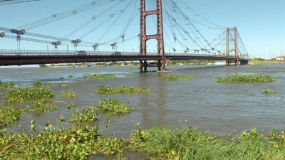 El río Paraná se estabilizó en 5,52 metros en el puerto de Santa Fe