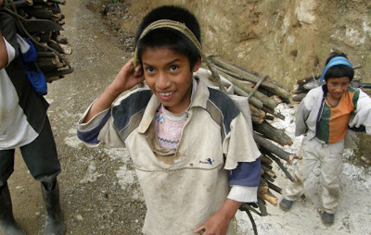 Más de 850.000 niños se ven obligados a trabajar en Bolivia