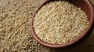El grano de quinoa ya forma parte del Código Alimentario Argentino