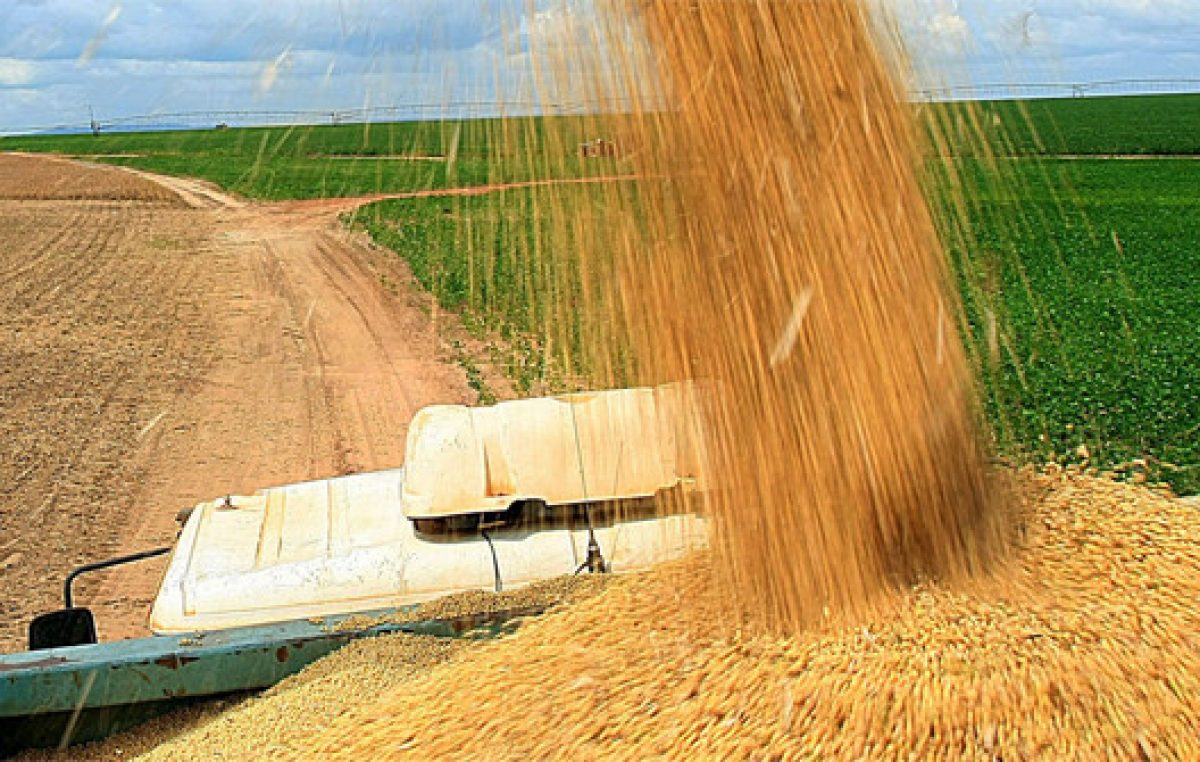 Detectan 350 mil toneladas de granos sin declarar ante AFIP
