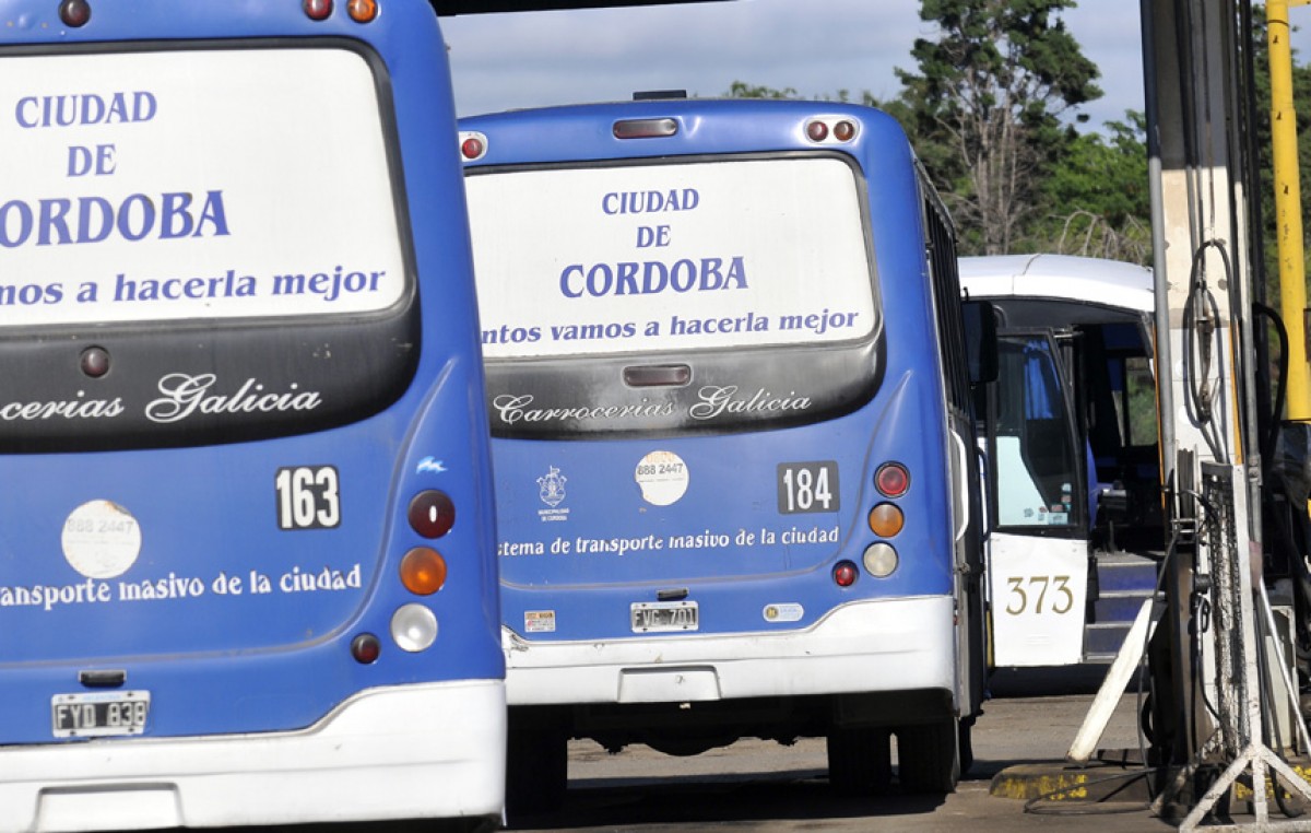 Tres empresas suplirán a la desplazada Ciudad de Córdoba