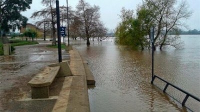 Realizaron evacuaciones preventivas en Concordia ante la creciente del río Uruguay