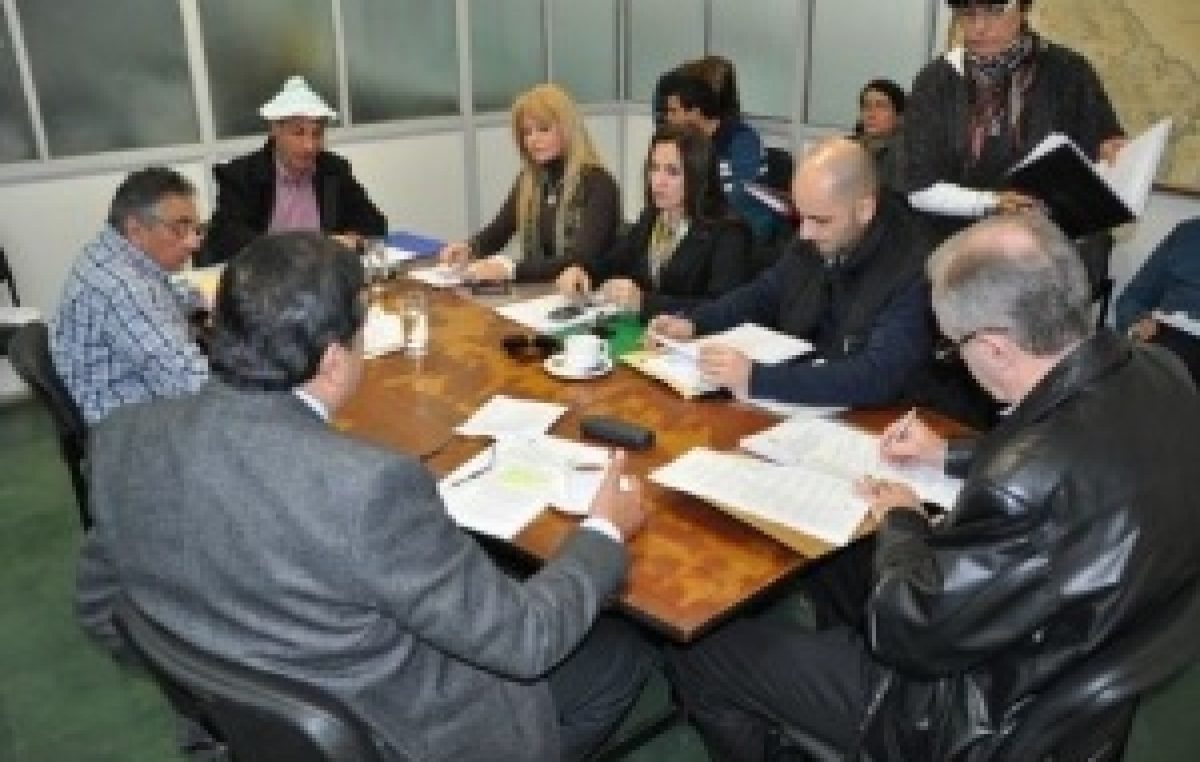 Chaco: La Comisión de Asuntos Municipales aprobó la modificación de la Ley Orgánica Municipal