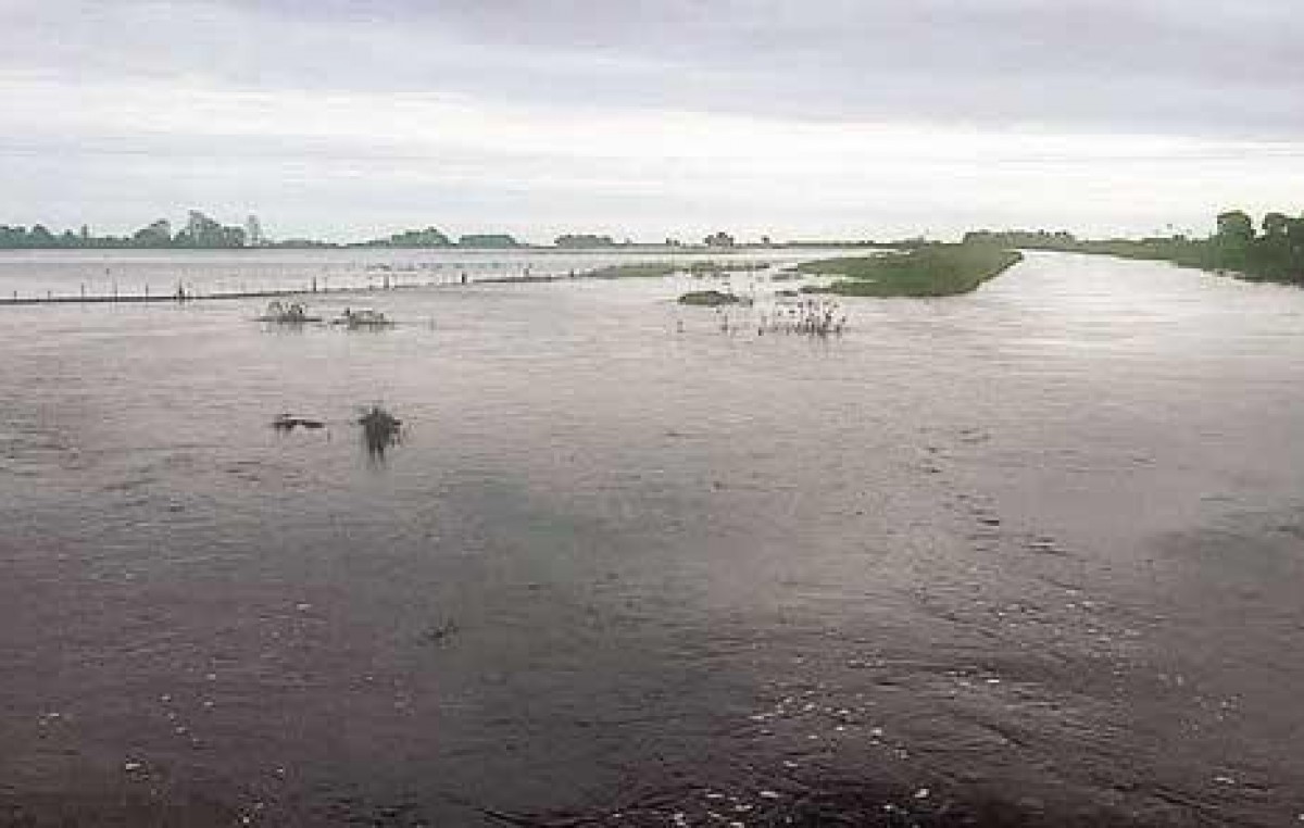 Ya hay 50 distritos en emergencia por las inundaciones en el interior bonaerense