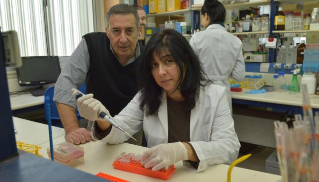 José Bocco y Claudia Sola trabajan en el Centro de Investigaciones en Bioquímica Clínica e Inmunología de la Universidad Nacional de Córdoba y el Conicet