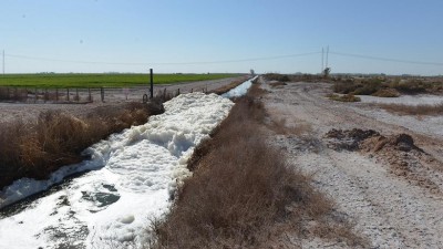 Mendoza lidera en el país el riego de cultivos con líquidos cloacales tratados