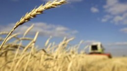 Scioli busca una suba del Inmobiliario Rural para 2015