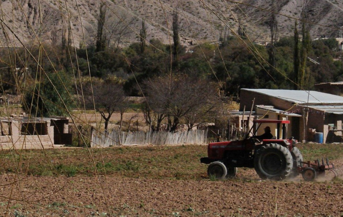 Crean un Centro de Cultivos Agroecológicos en Jujuy