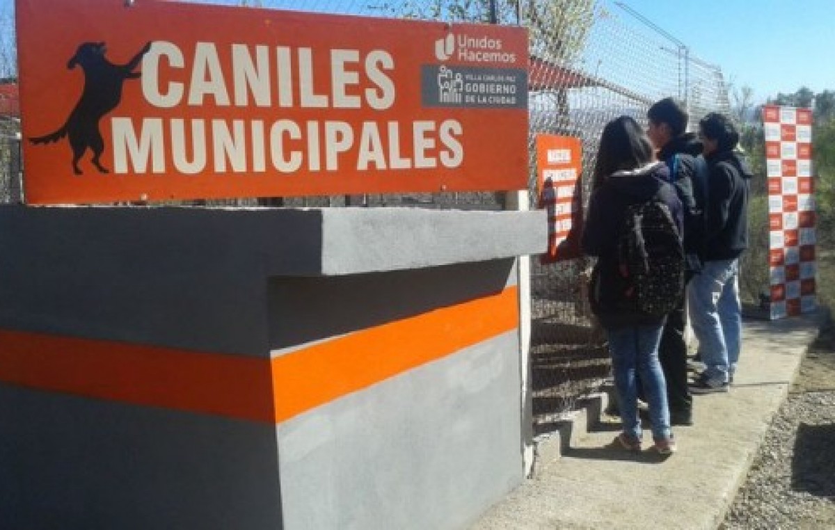 En Carlos Paz proponen un 5% de descuento en las tasas 2015 a quien adopte un perro de los caniles municipales