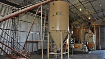 El Municipio de Alto Alegre construirá un molino harinero para exportar