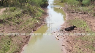 Sequía: 6500 pobladores de El Sauzalito se enfrentan en la pelea por conseguir agua
