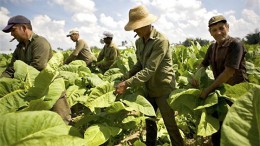 Salta: «se registrarán 600 mil nuevos empleados «