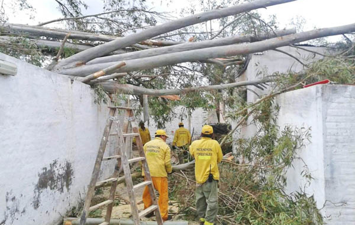 Terrible tornado causó graves destrozos en Villa Ojo de Agua