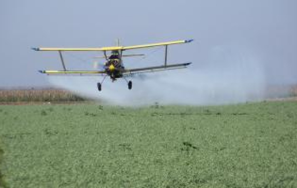 La Justicia suspendió las fumigaciones con agrotóxicos en Coronel Suárez