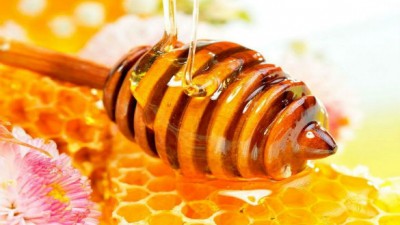 La Provincia de Buenos Aires es el mayor productor de miel del país