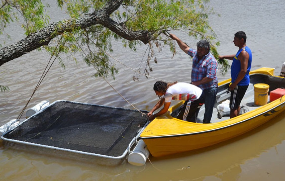 Se inaugura en Entre Ríos una nueva forma de criar peces