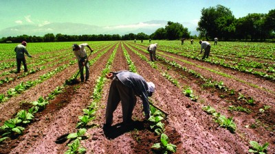 Está en marcha el blanqueo de los trabajadores rurales en Salta
