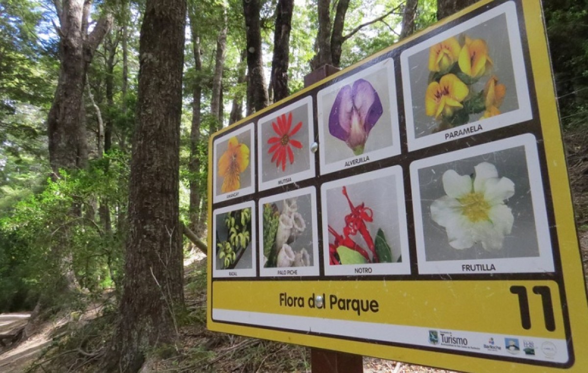 La Municipalidad de Bariloche realiza trabajos para mejorar el Parque Llao Llao