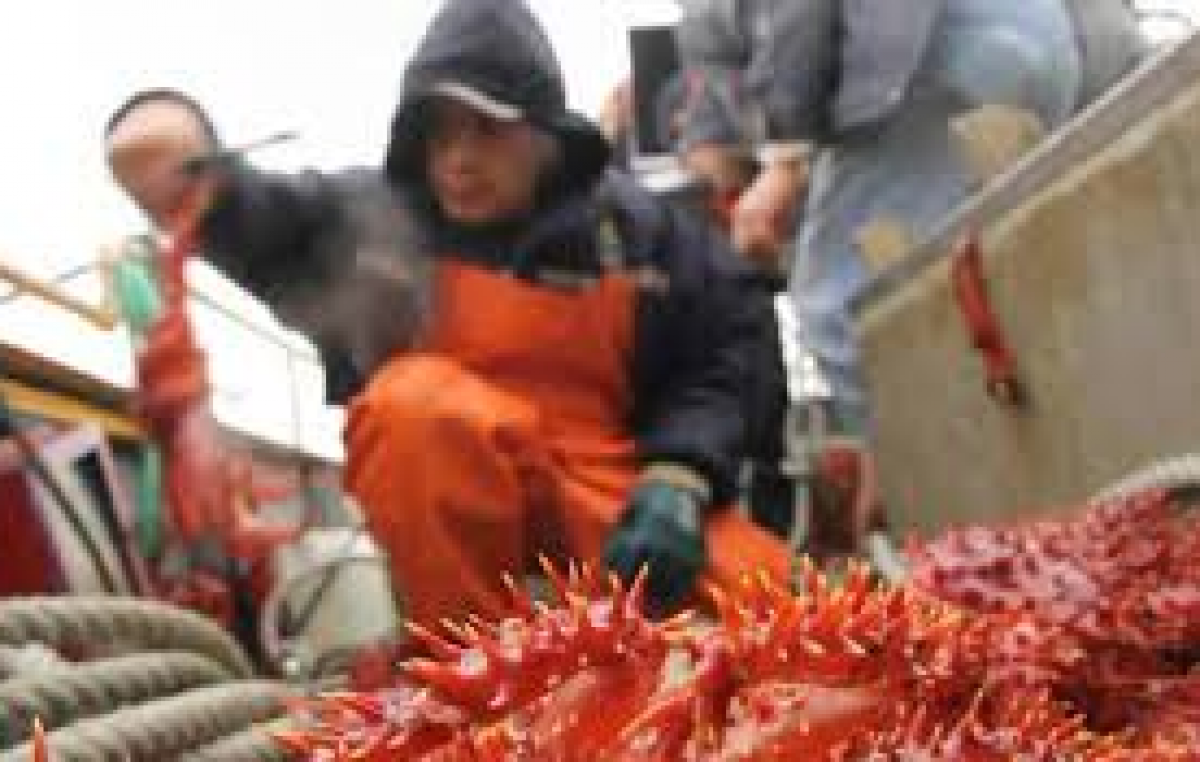 El Municipio de Ushuaia trabaja en la reapertura de la planta procesadora de crustáceos