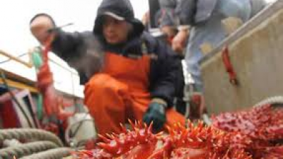 El Municipio de Ushuaia trabaja en la reapertura de la planta procesadora de crustáceos