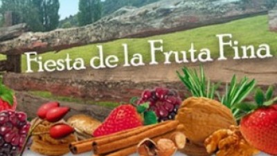 29º Fiesta Nacional de la Fruta Fina, El Hoyo, del 9 al 11 de enero