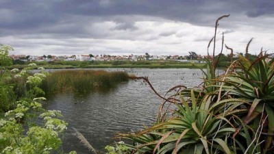 Declararon como Reserva Natural a la Laguna del Puerto de Mar del Plata