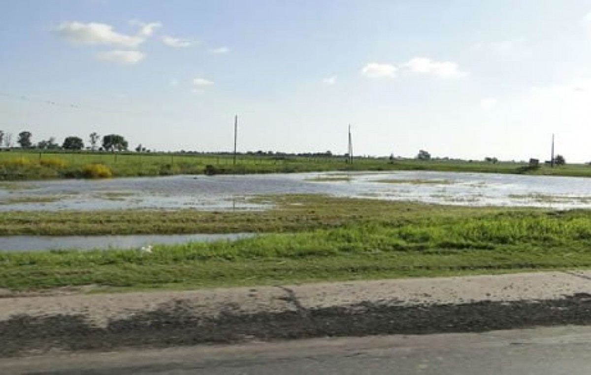 «Se perdieron 3000 hectáreas de arroz en San Javier”