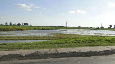 «Se perdieron 3000 hectáreas de arroz en San Javier”
