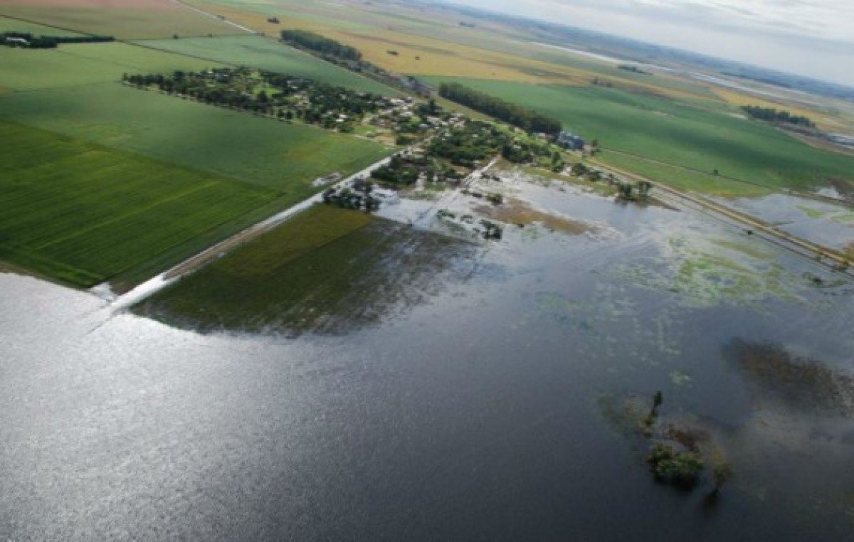 Declararán emergencia agropecuaria en varios departamentos santafesinos