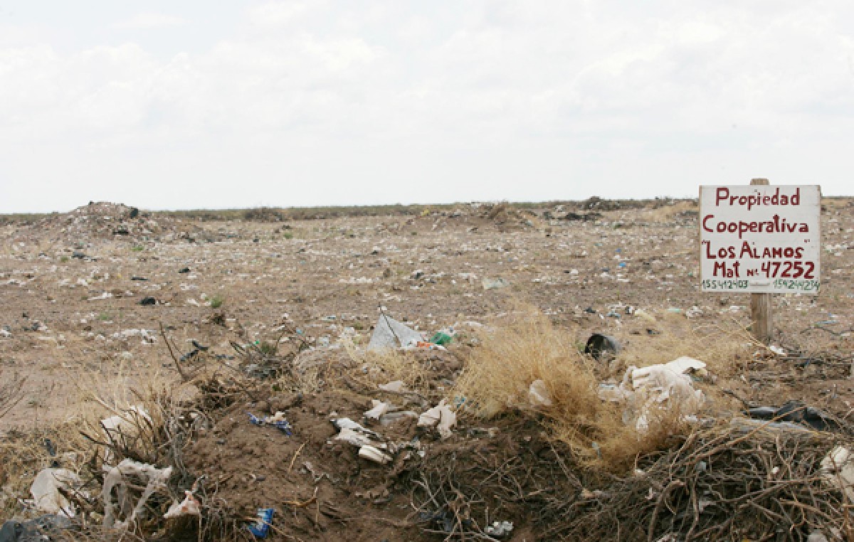 Centenario: de basural a barrio, giro drástico en plena meseta